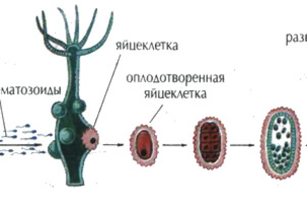 Кракен наркотики россия