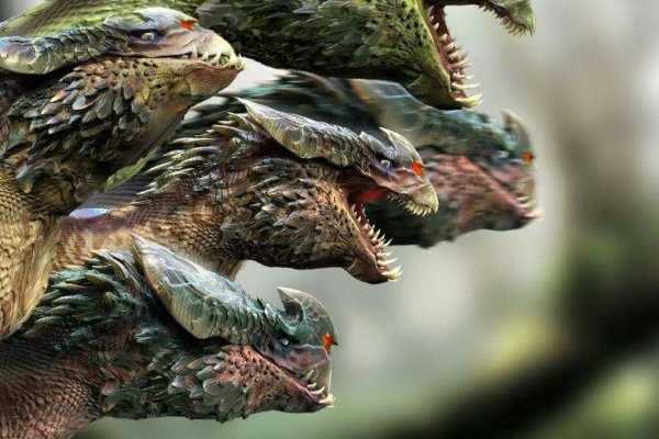 Kraken 24at