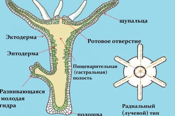 Рабочие ссылки на кракен 2025