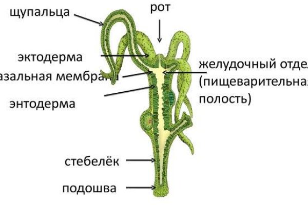 Кракен не работает